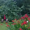 Garten Pethig 2018